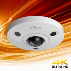 Dahua EBW81200EP 12MP D/N 360° Camera met 1.57mm lens